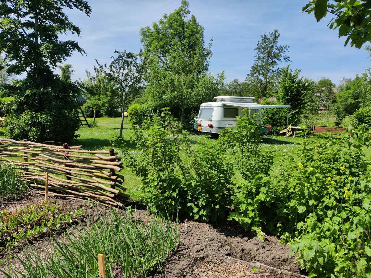 Recreatiewoning in Scherpenzeel (Fr.) voor 36 personen foto 14