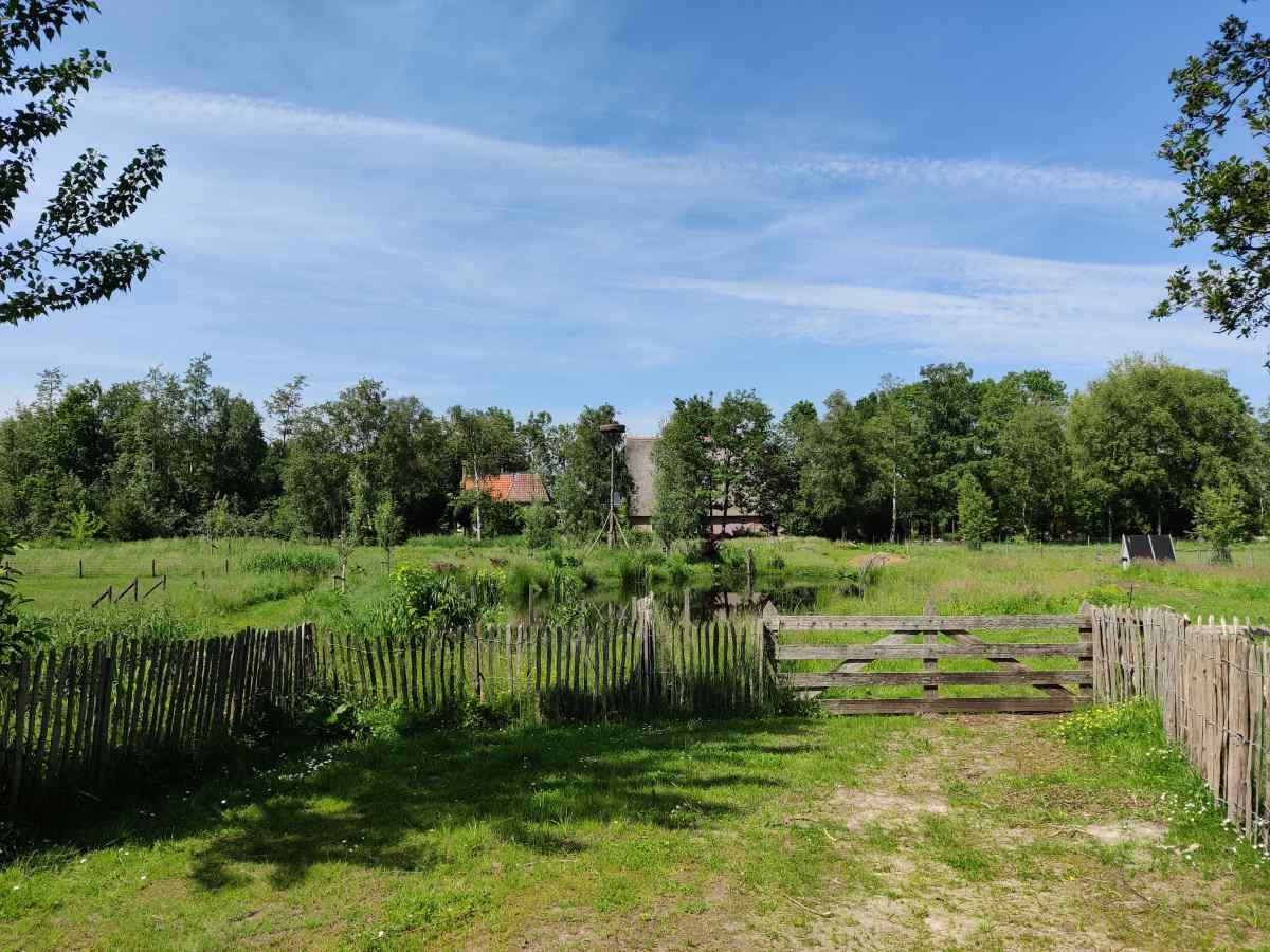 Recreatiewoning in Scherpenzeel (Fr.) voor 36 personen foto 15