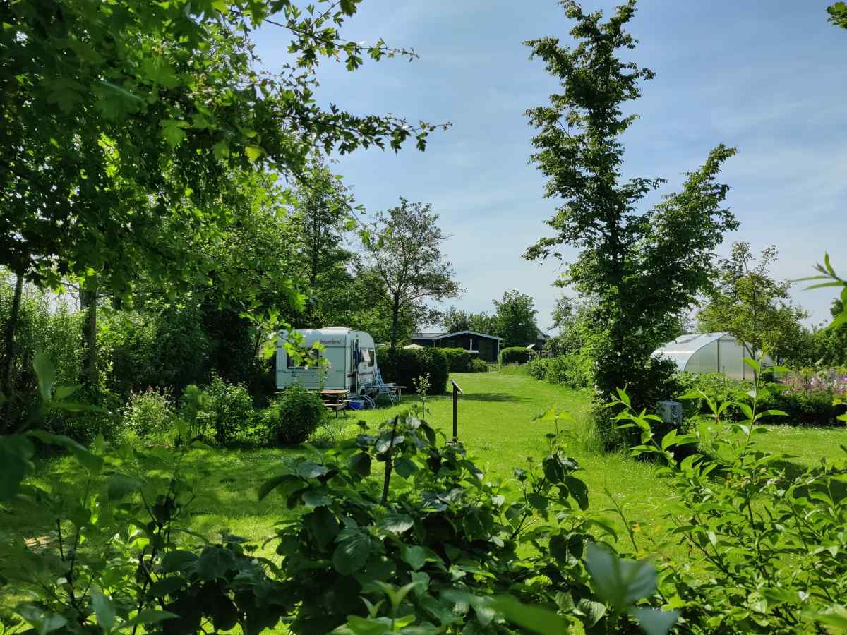 Recreatiewoning in Scherpenzeel (Fr.) voor 36 personen foto 17