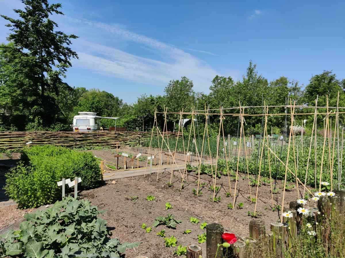 Recreatiewoning in Scherpenzeel (Fr.) voor 36 personen foto 18