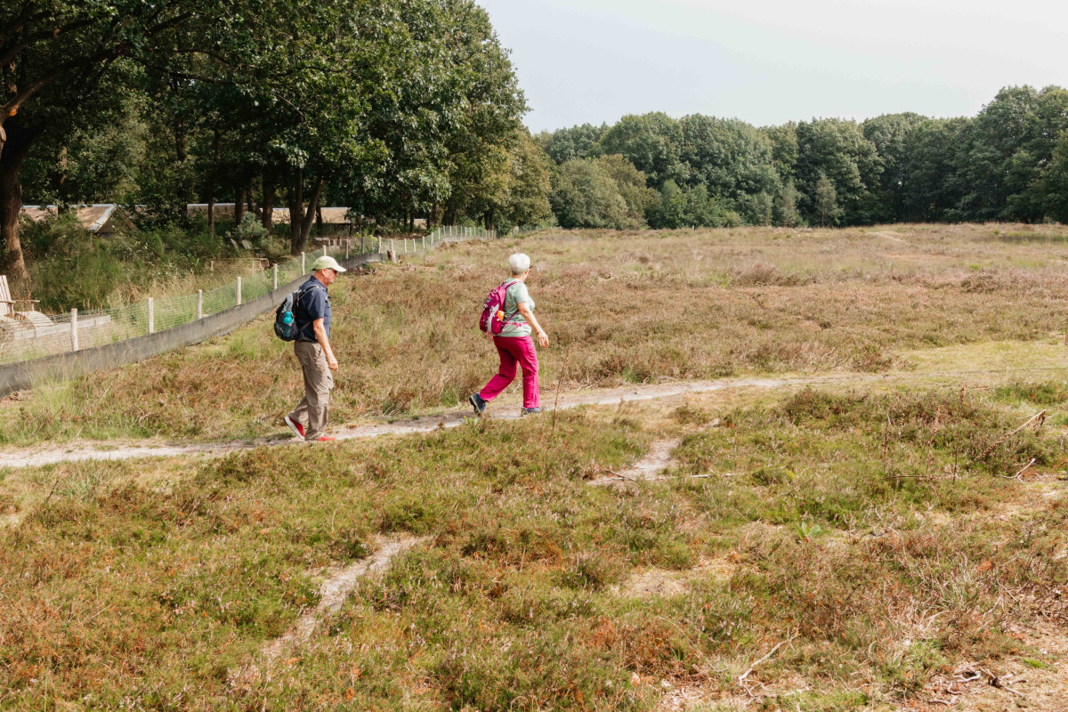Villa in Een voor 6 personen foto 8