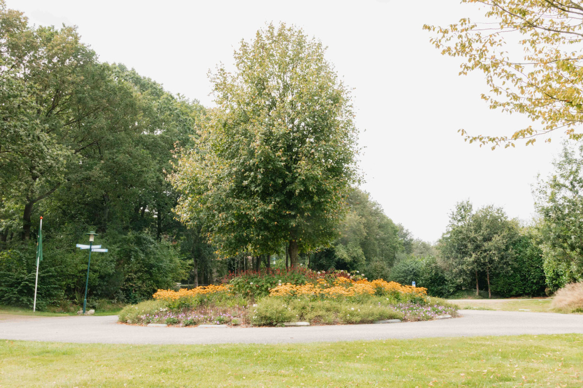 Villa in Een voor 6 personen foto 2