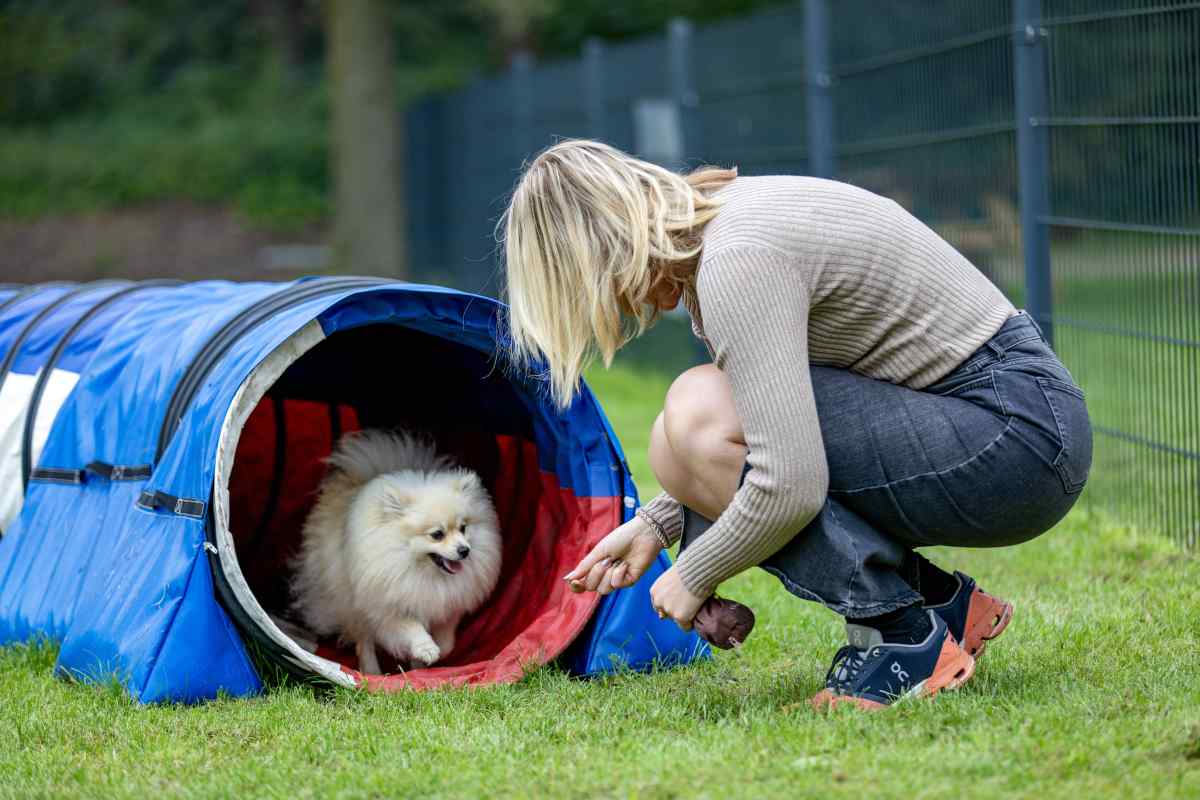 Bungalow in Radewijk voor 6 personen foto 9