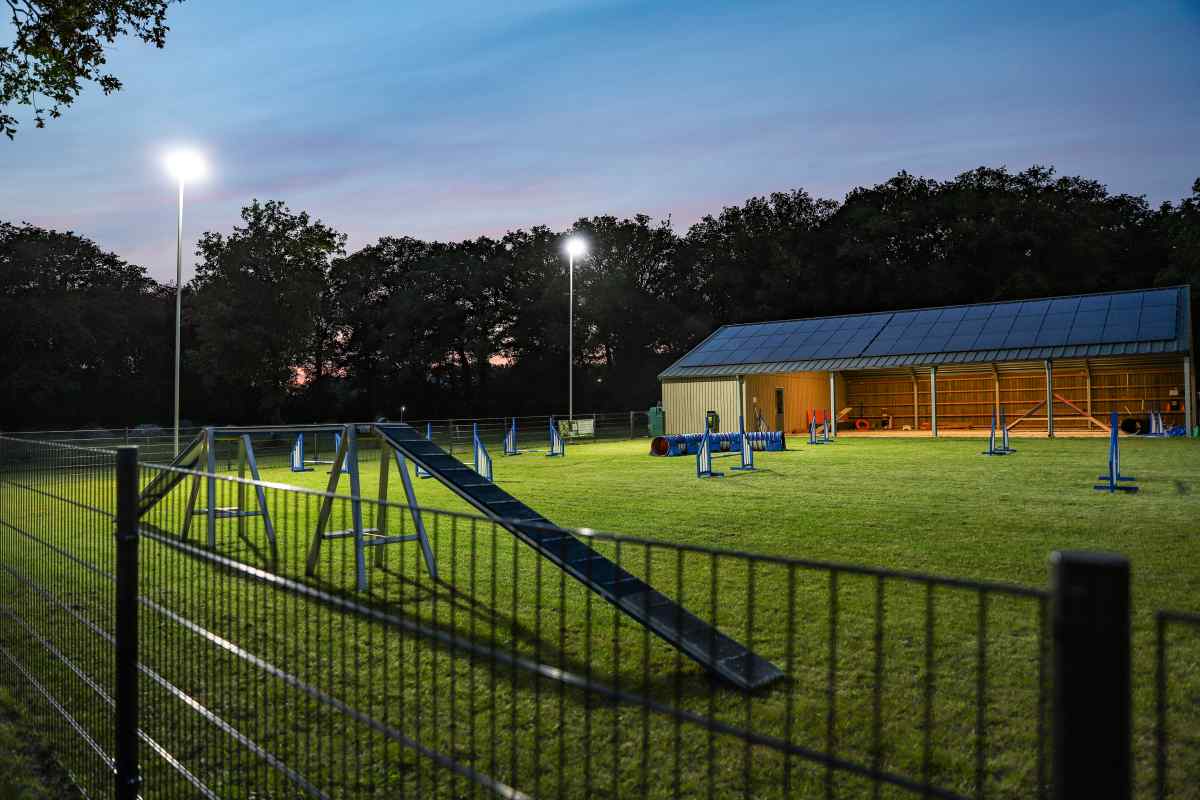 Bungalow in Radewijk voor 6 personen foto 13