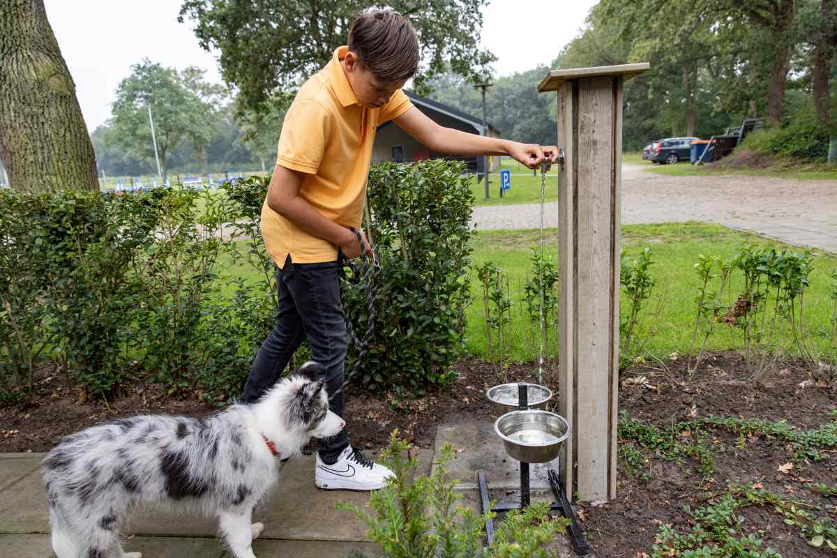 Bungalow in Radewijk voor 6 personen foto 17
