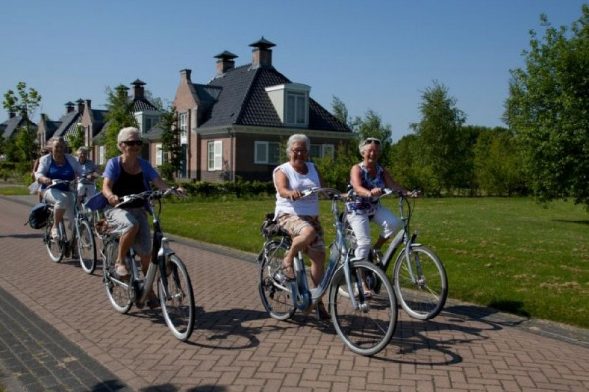 Villa in Appelscha voor 8 personen foto 8