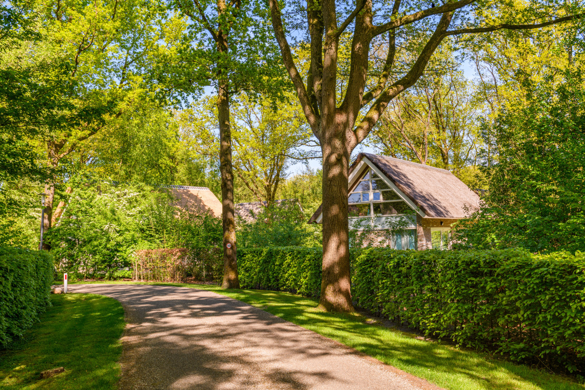 Villa in Ruinen voor 6 personen foto 11