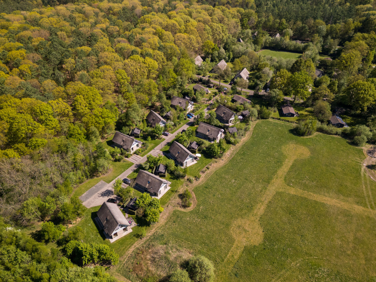 Villa in Ruinen voor 6 personen foto 3