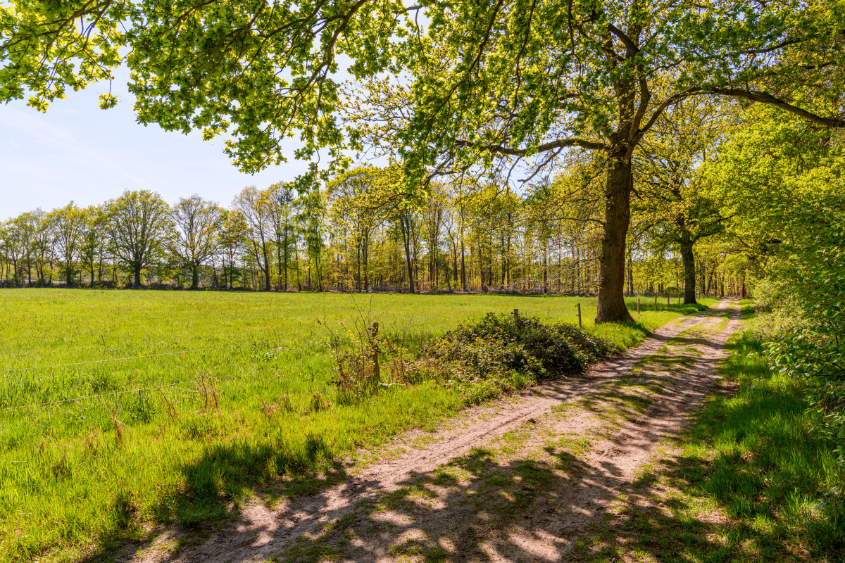 Villa in Ruinen voor 6 personen foto 18