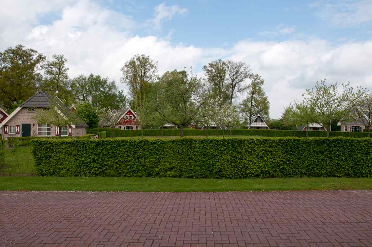 Buitenplaats in Den Olden Bongerd - Ferienpark