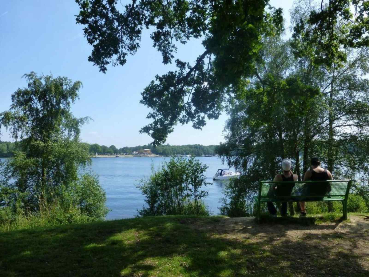 Bungalowpark De Riethorst - Basis Bild