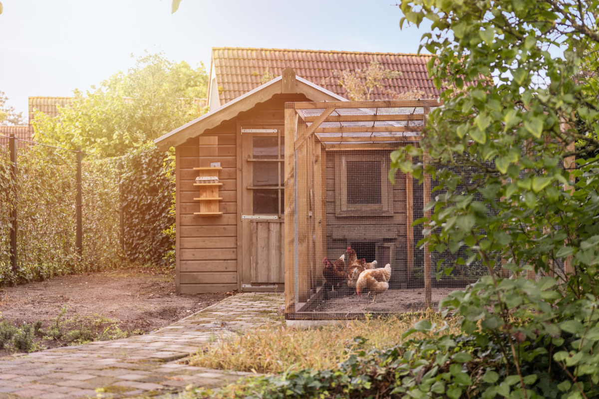 Bungalow in Plasmolen voor 10 personen foto 6