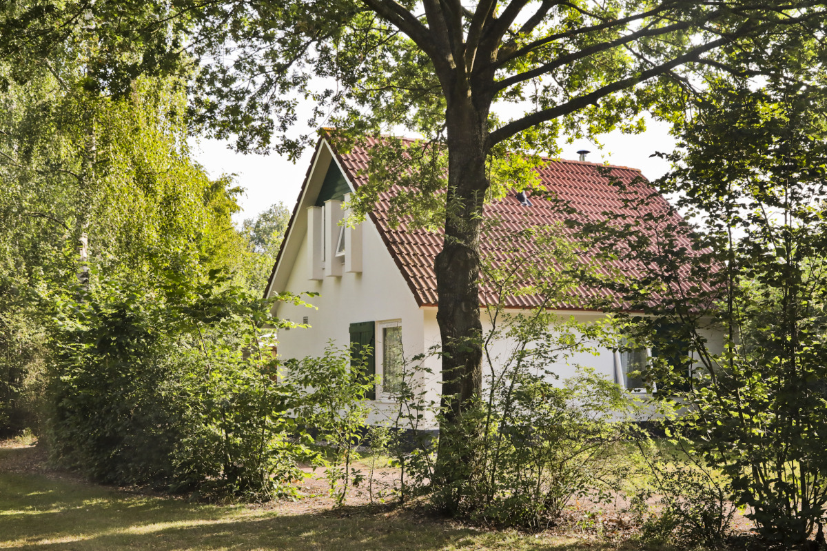 Bungalow in Hoogersmilde voor 6 personen foto 4
