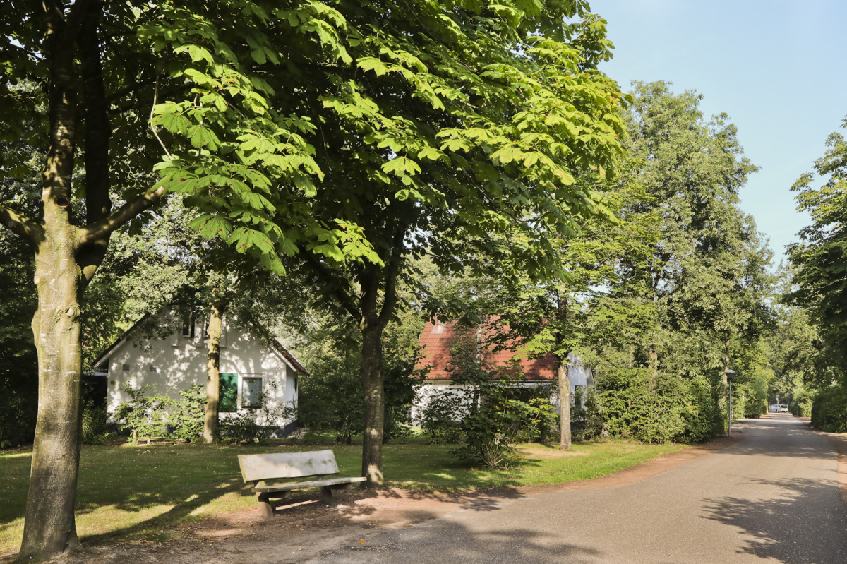 Bungalow in Hoogersmilde voor 6 personen foto 8