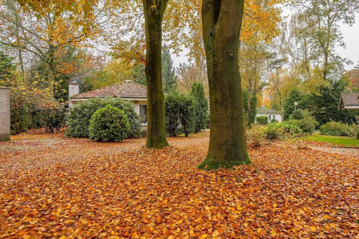 Bungalow in Harderwijk voor 6 personen foto 5