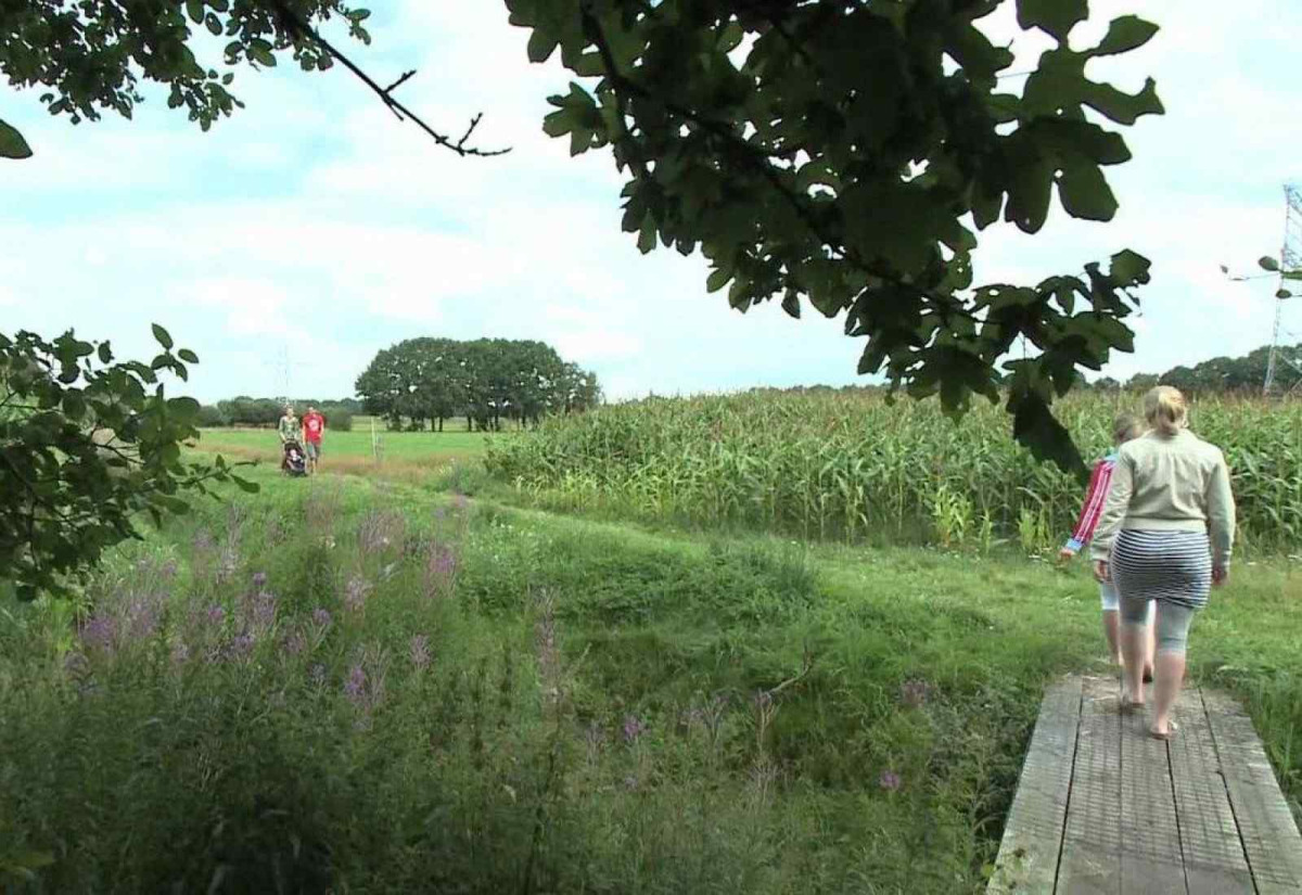 Villa in Hoge Hexel voor 6 personen foto 9
