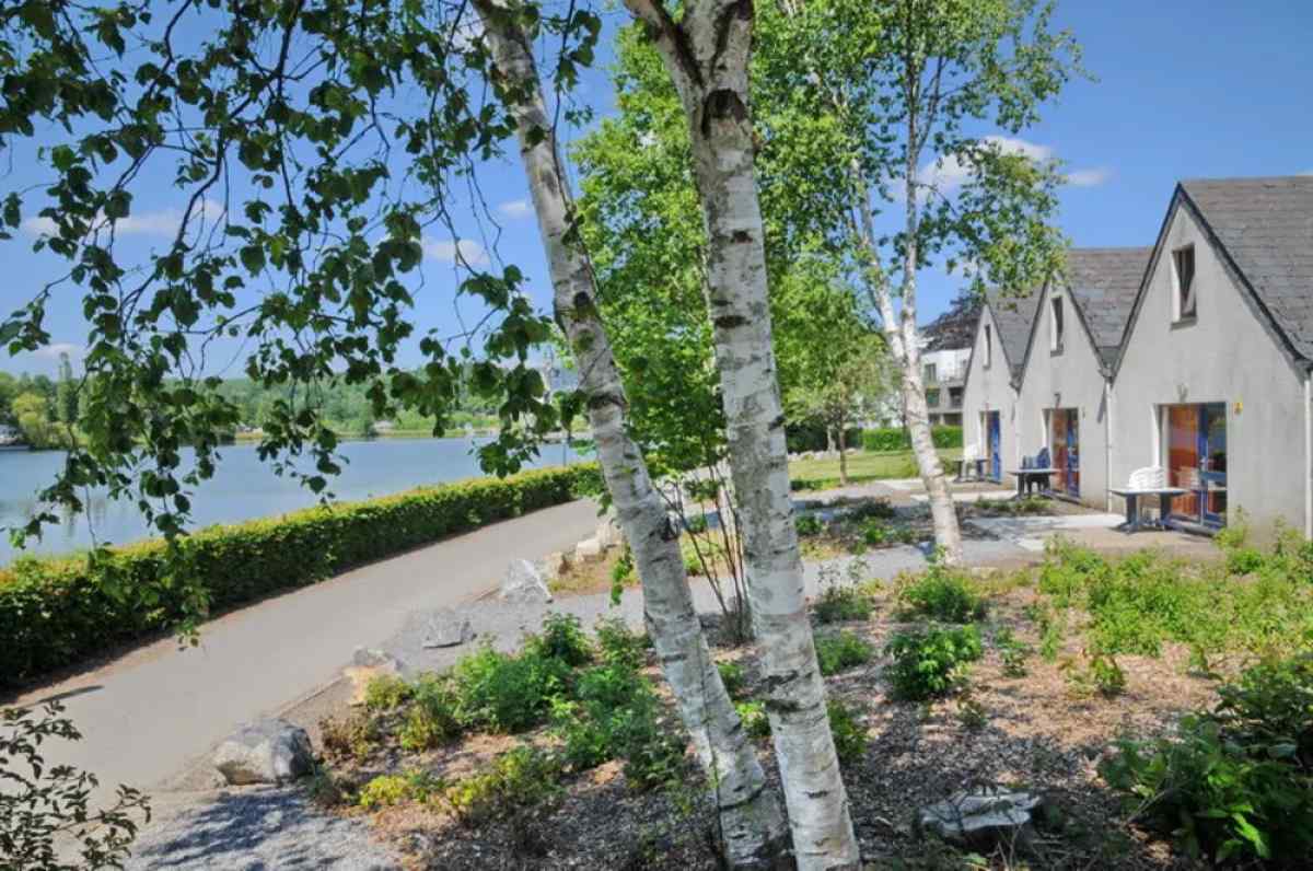 Bungalow in Vielsalm voor 6 personen foto 6