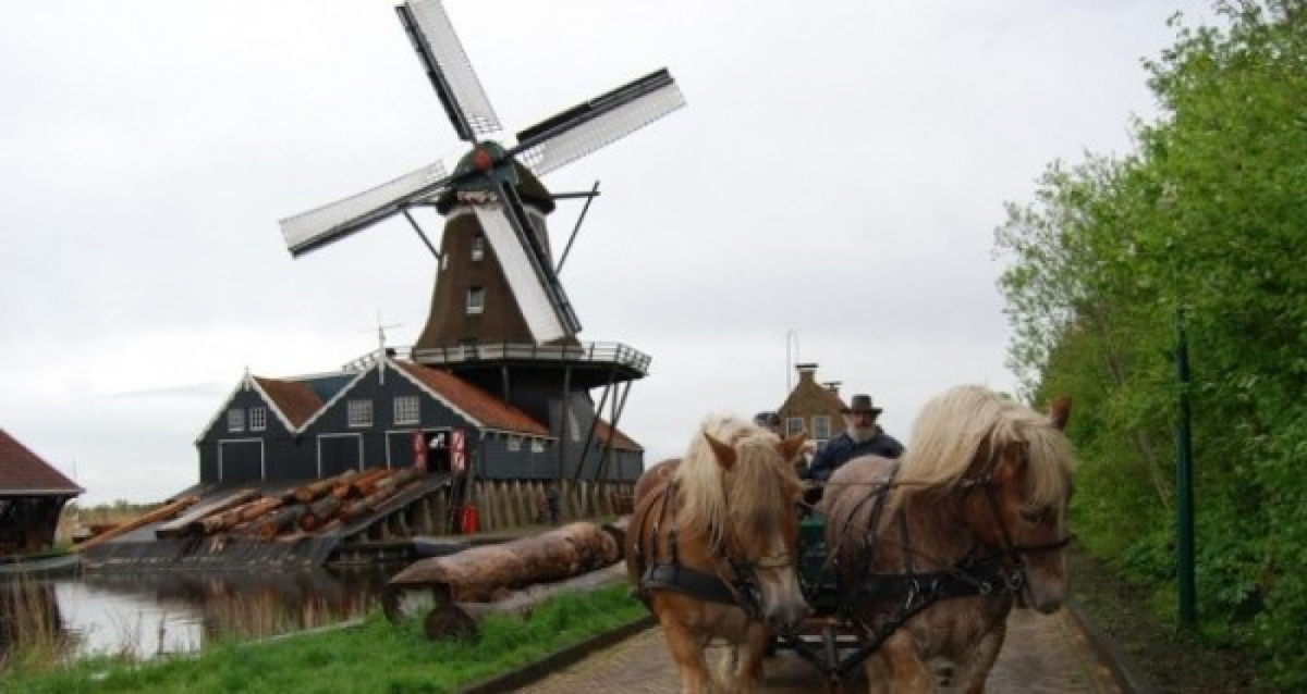 Landhuis in Balk voor 6 personen foto 11