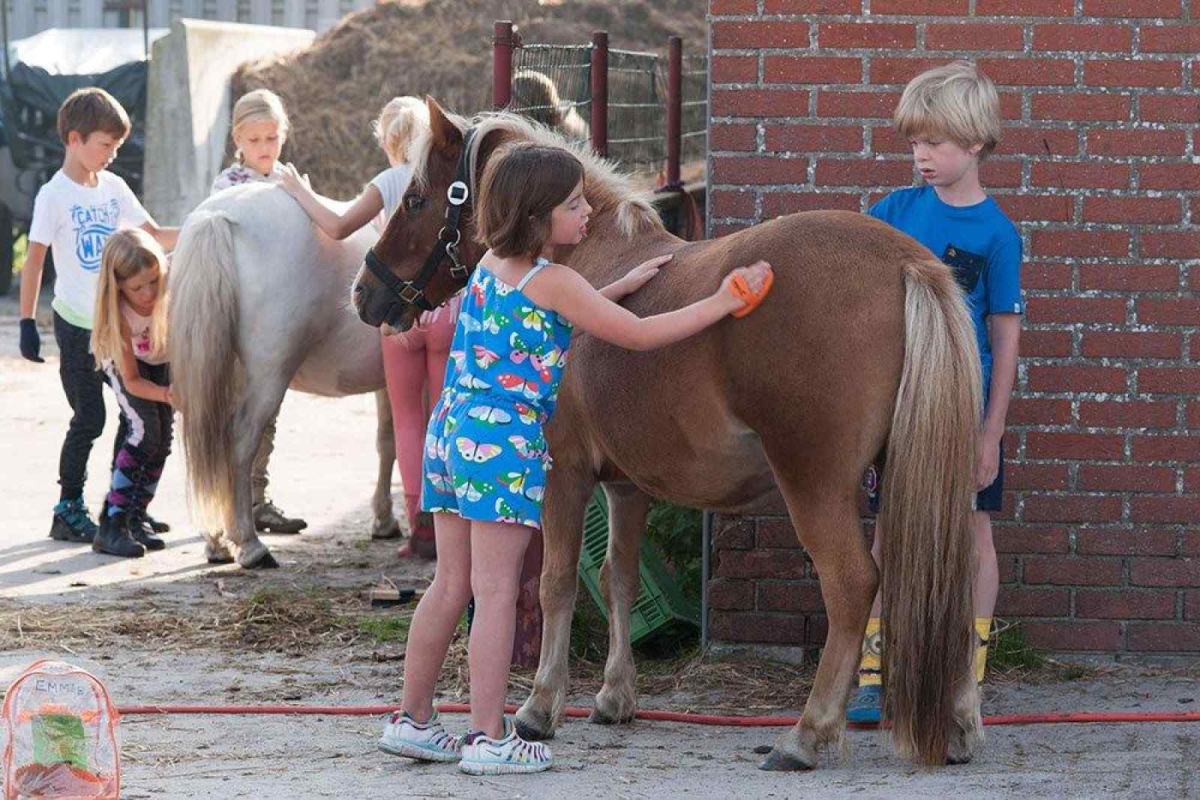 Recreatiewoning in Goirle voor 10 personen foto 10