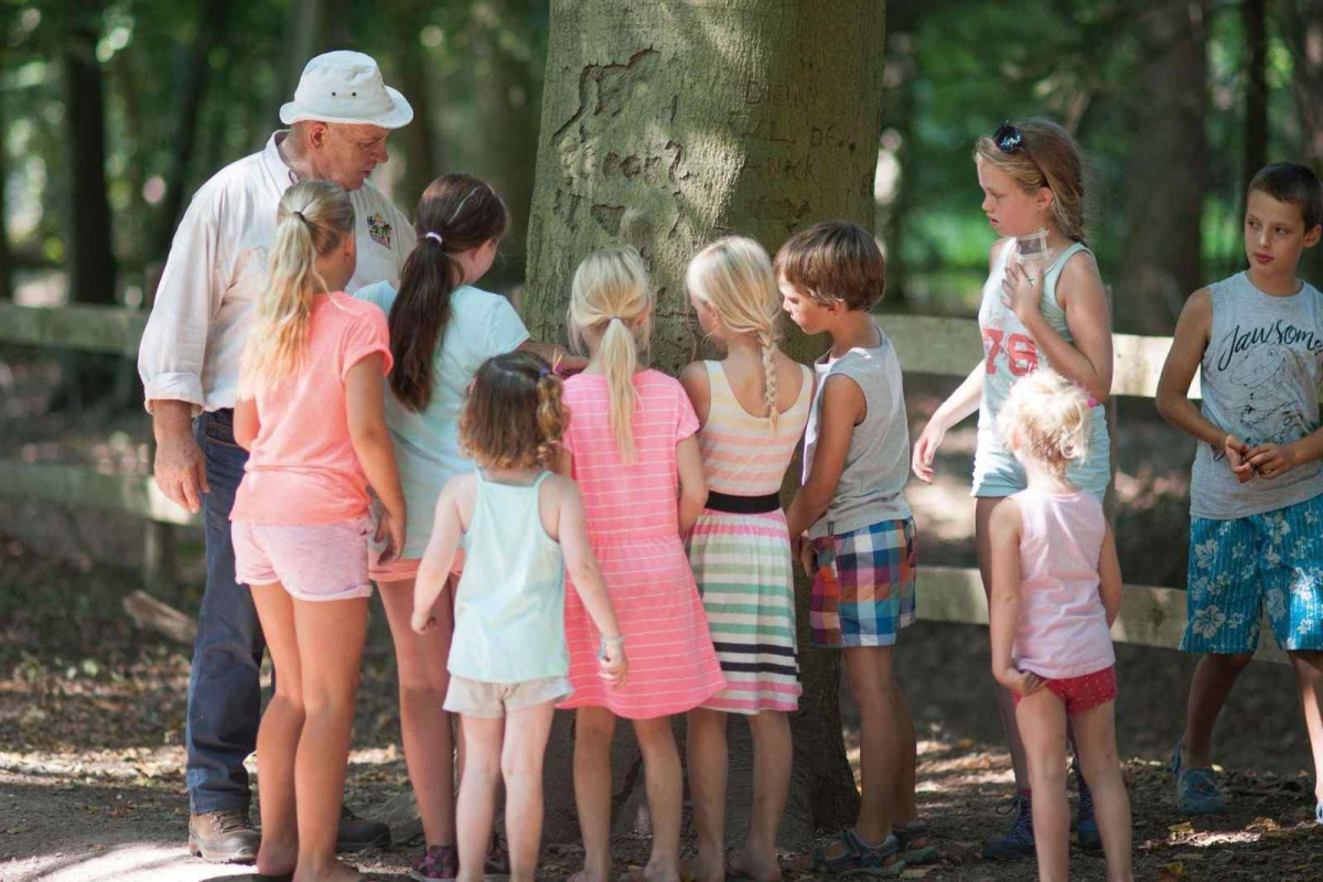 Recreatiewoning in Goirle voor 10 personen foto 6