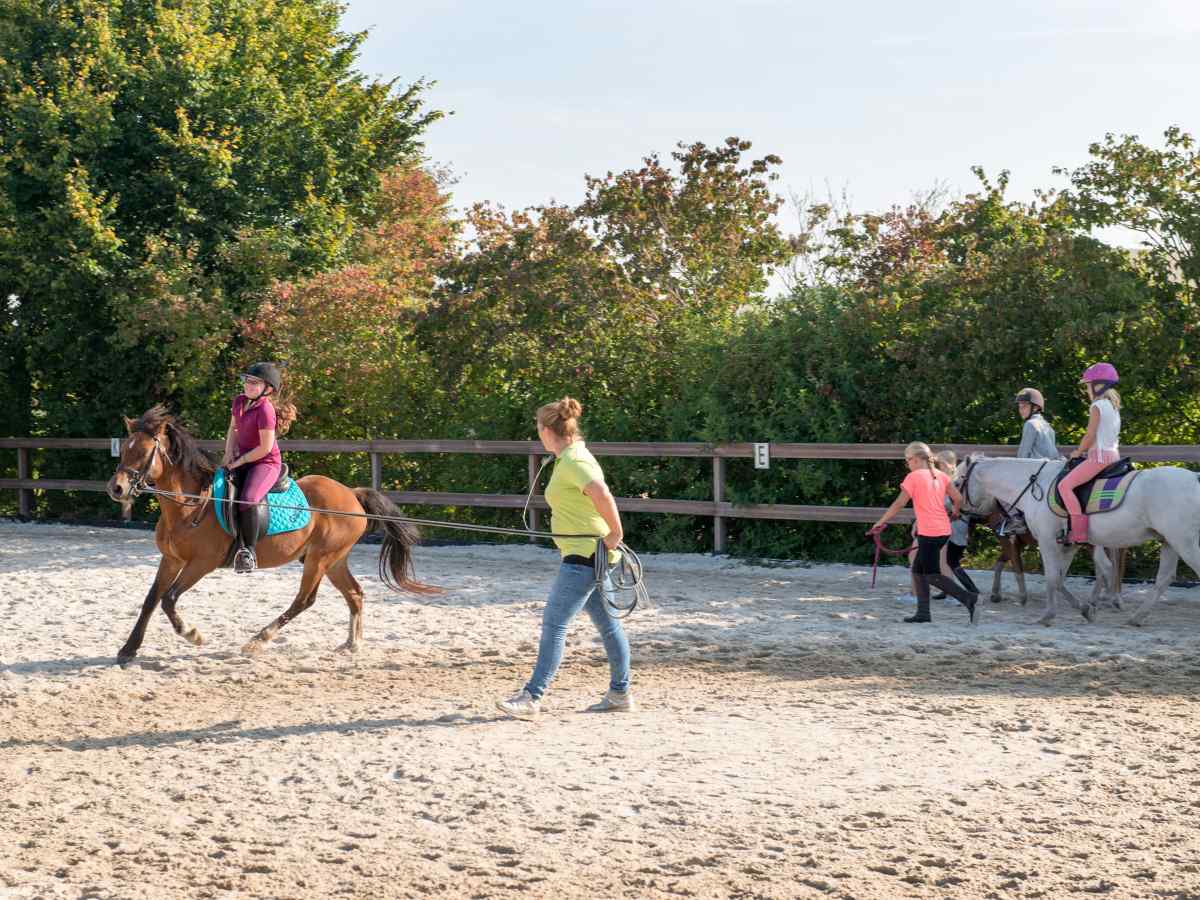 Recreatiewoning in Goirle voor 10 personen foto 14