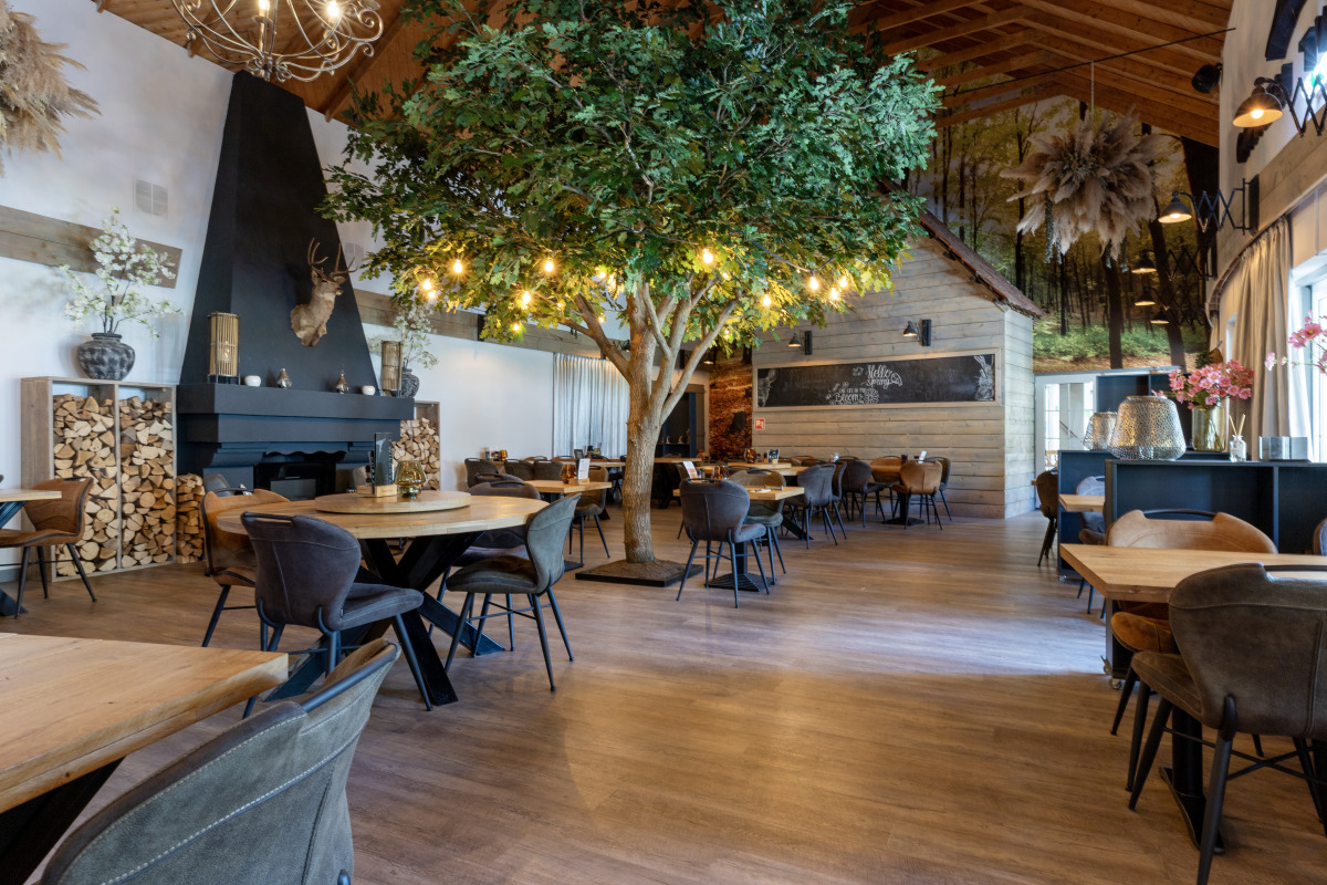 Chalet in Diever voor 6 personen foto 4