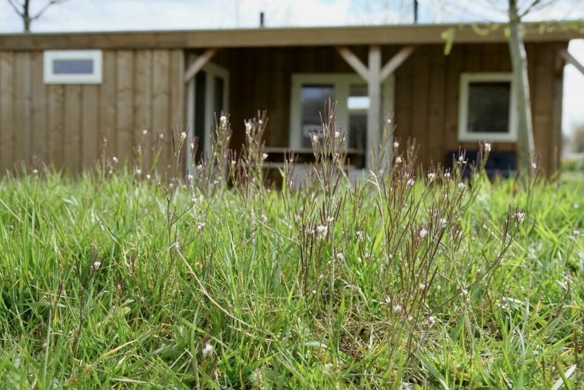 Recreatiewoning in Scherpenisse voor 6 personen foto 5