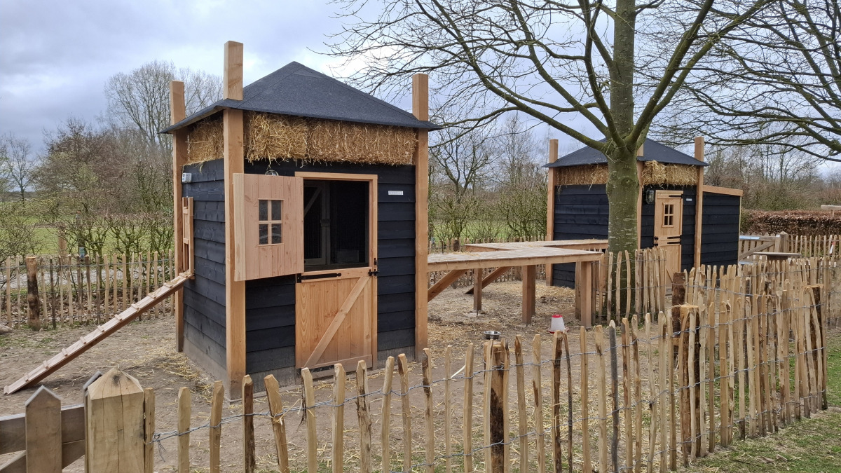 Recreatiewoning in Lottum voor 12 personen foto 14