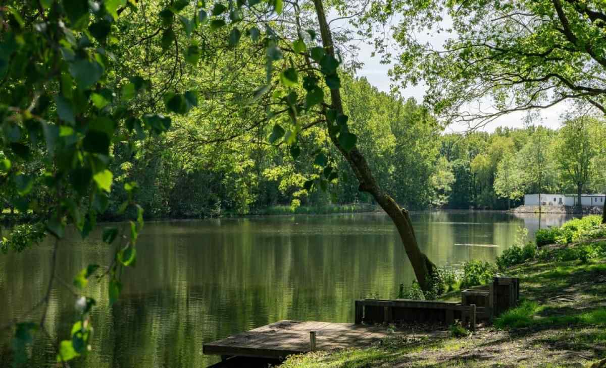 Vakantiepark Het Amsterdamse Bos - Ferienpark