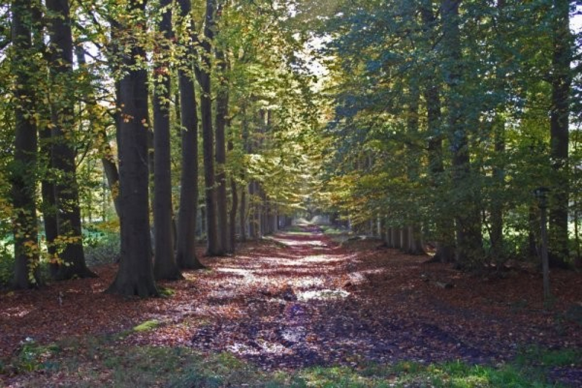Vakantieboerderij in Hengelo-Gld voor 8 personen foto 7