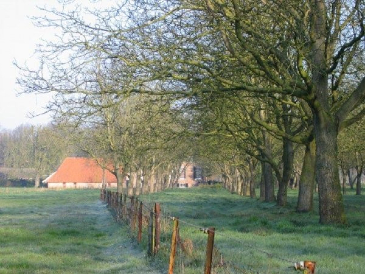Vakantieboerderij in Hengelo-Gld voor 8 personen foto 5