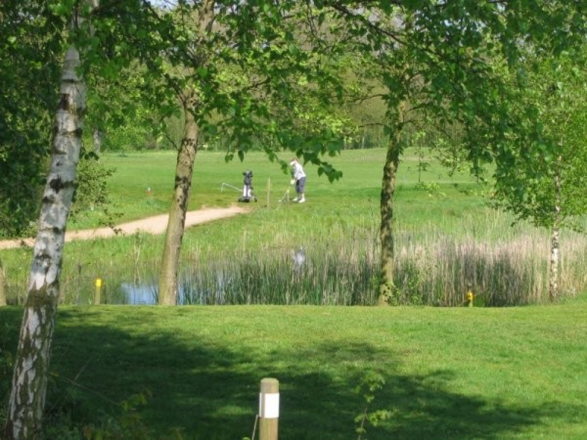 Vakantieboerderij in Hengelo-Gld voor 8 personen foto 11