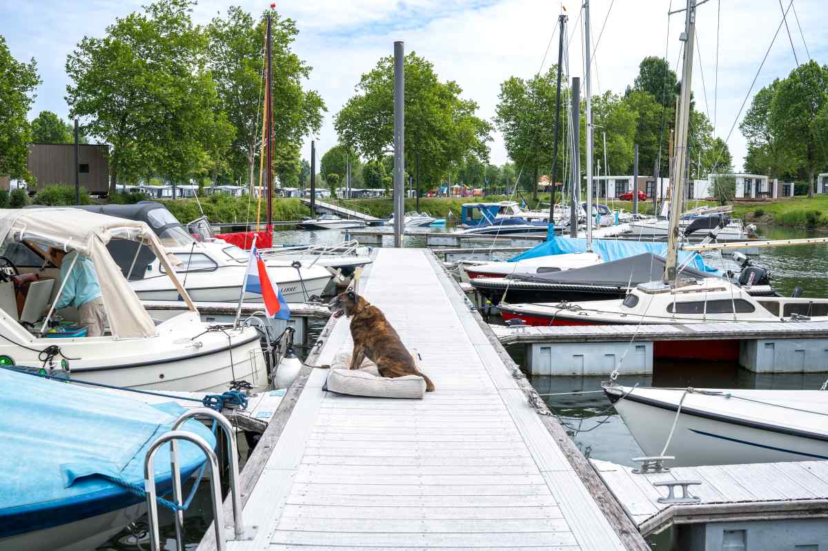 Villa in Maurik voor 6 personen foto 15