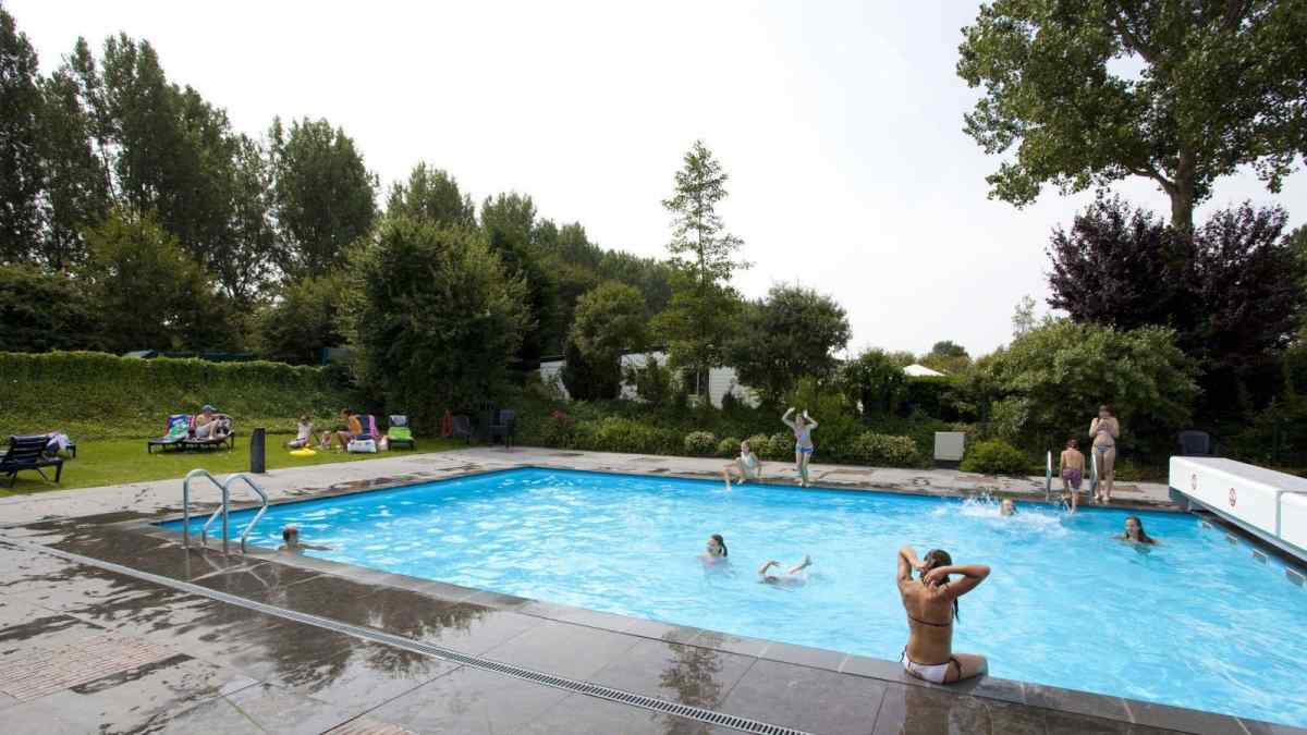 Chalet in Noord-Scharwoude voor 6 personen foto 7