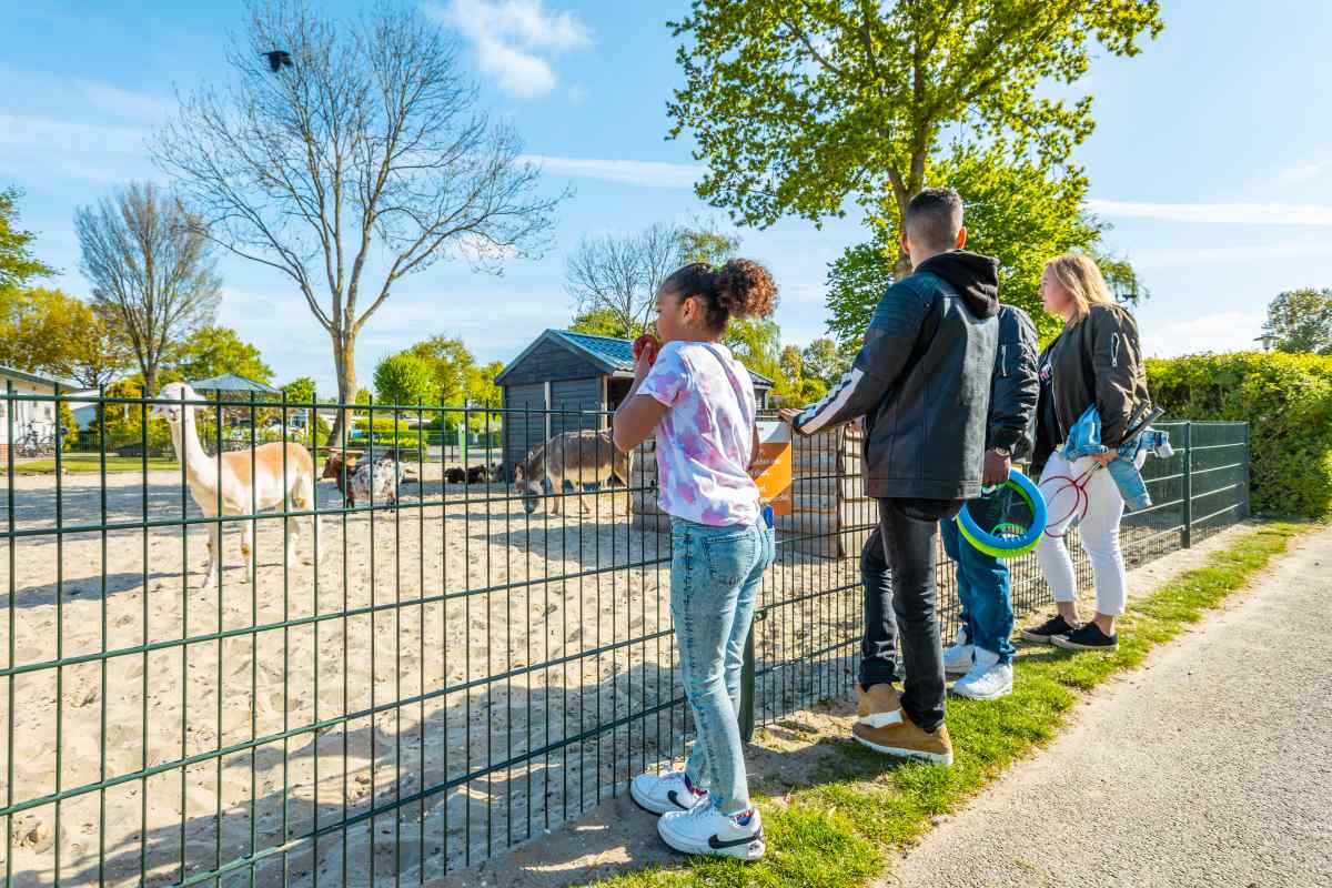 Chalet in Noord-Scharwoude voor 6 personen foto 8