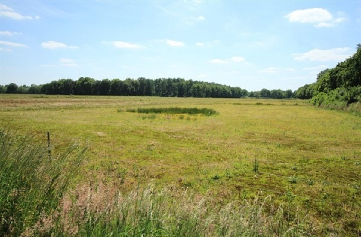 Natuurpark De Bollert - Ferienpark