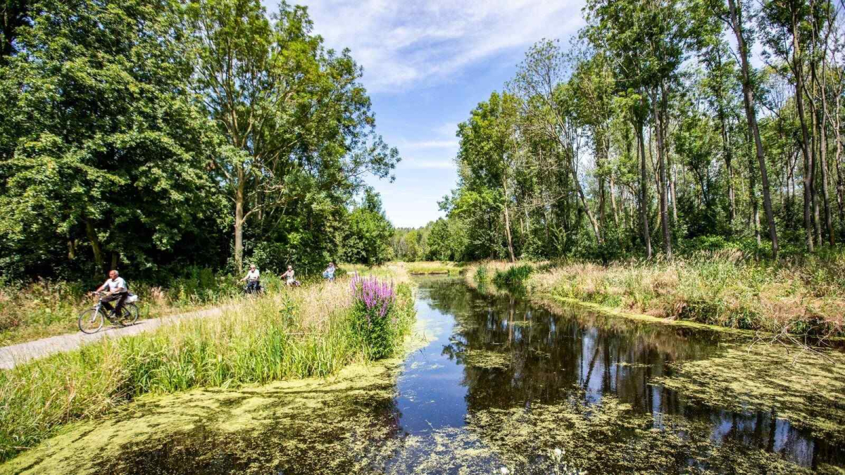 Chalet in Nieuwerkerk aan den IJssel voor 6 personen foto 13