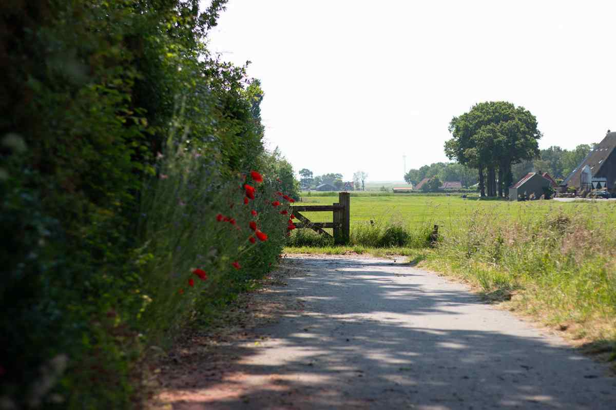 Bungalow in Sondel voor 6 personen foto 8