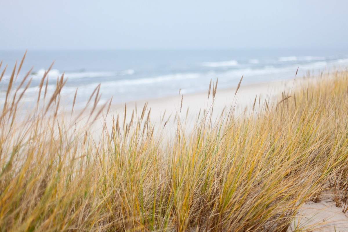 Recreatiewoning in Schoorl voor 6 personen foto 10