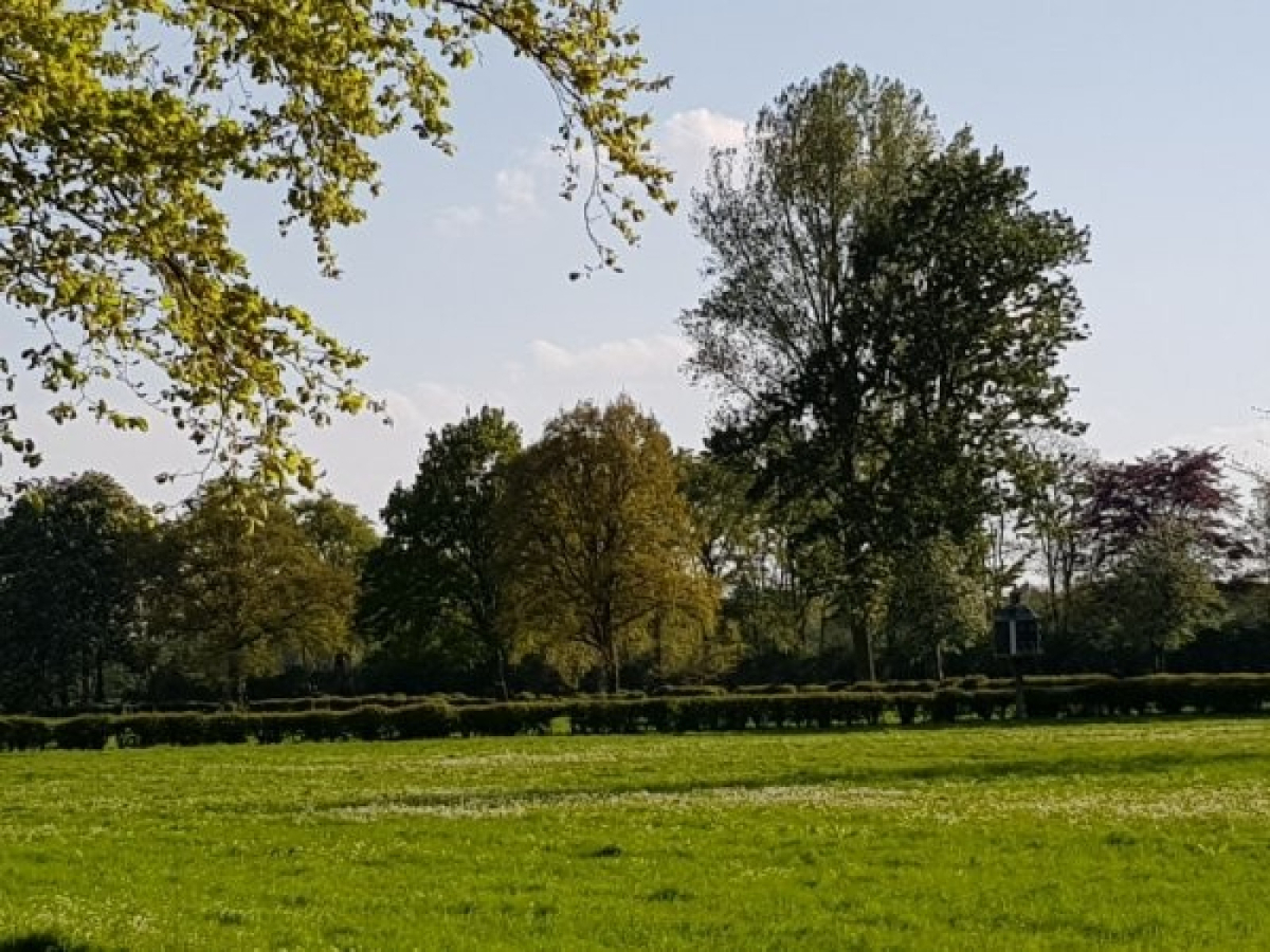 Recreatieboerderij De Reekamp - Ferienpark