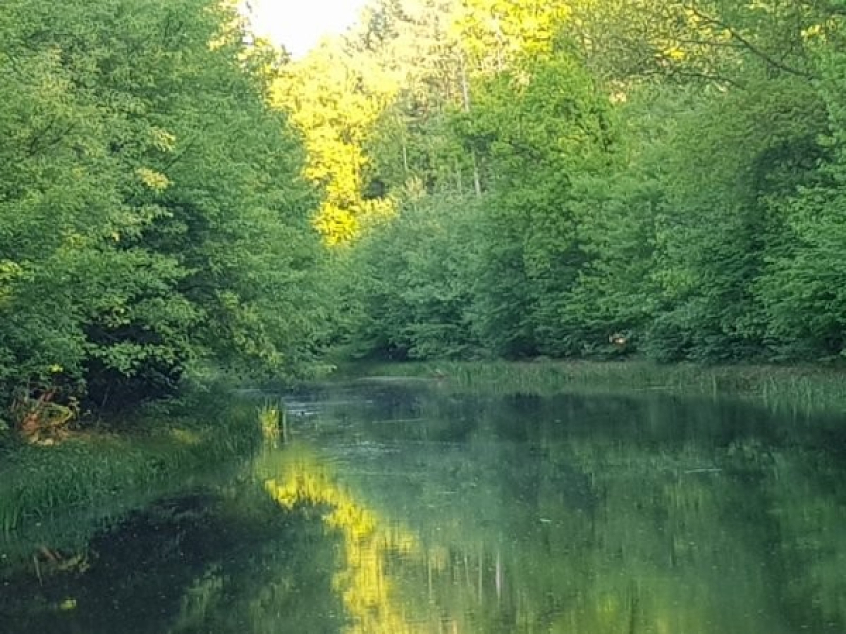 Recreatieboerderij De Reekamp - Ferienpark