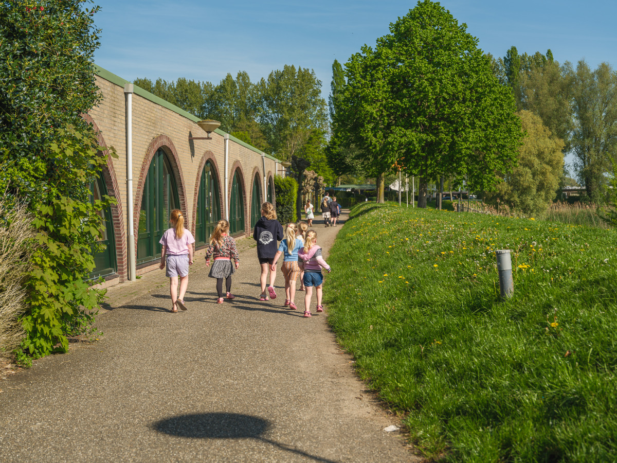 Bungalow in Terwolde voor 6 personen foto 18