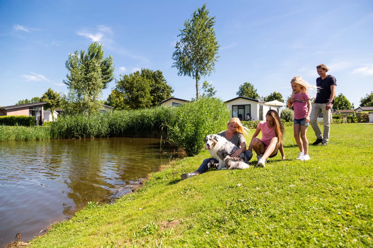 Chalet in Aalst voor 6 personen foto 11