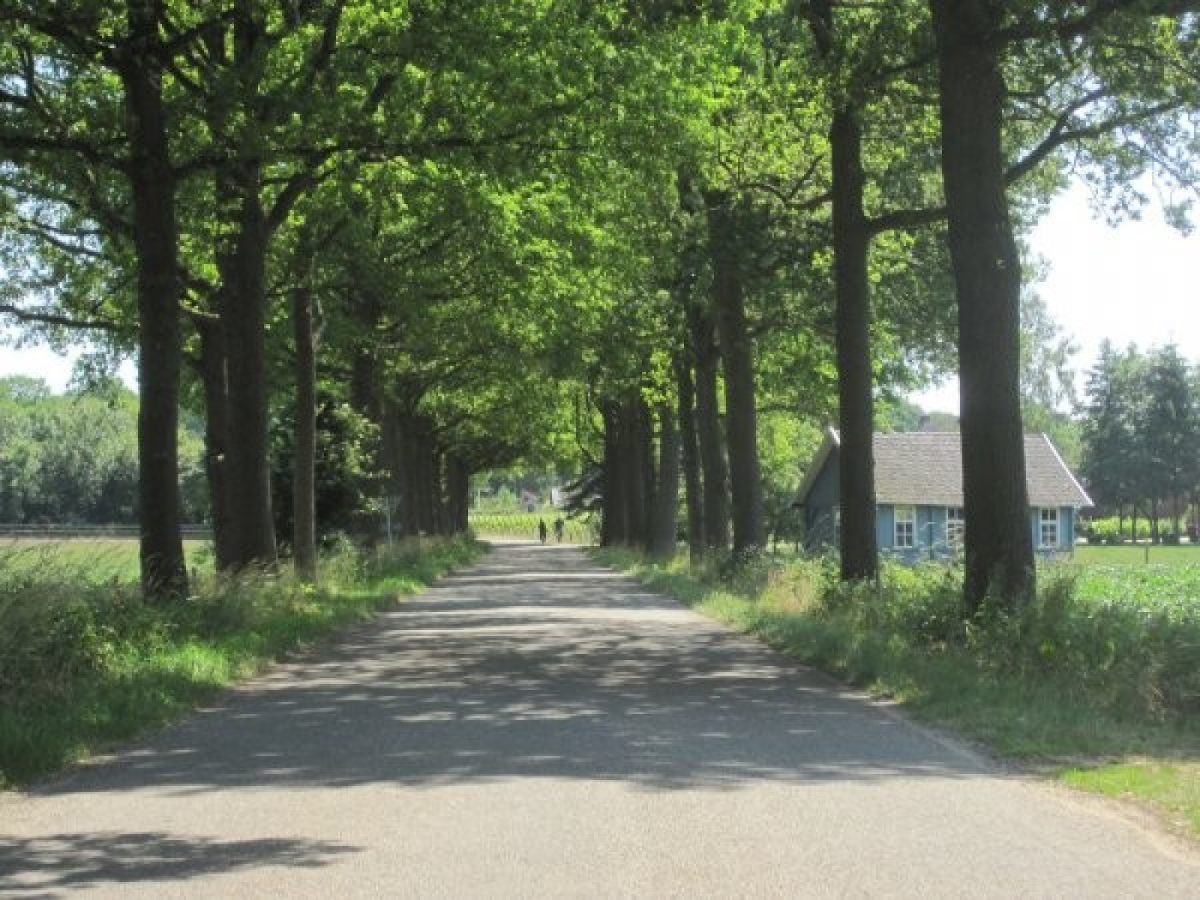 Villa in Lievelde voor 12 personen foto 13