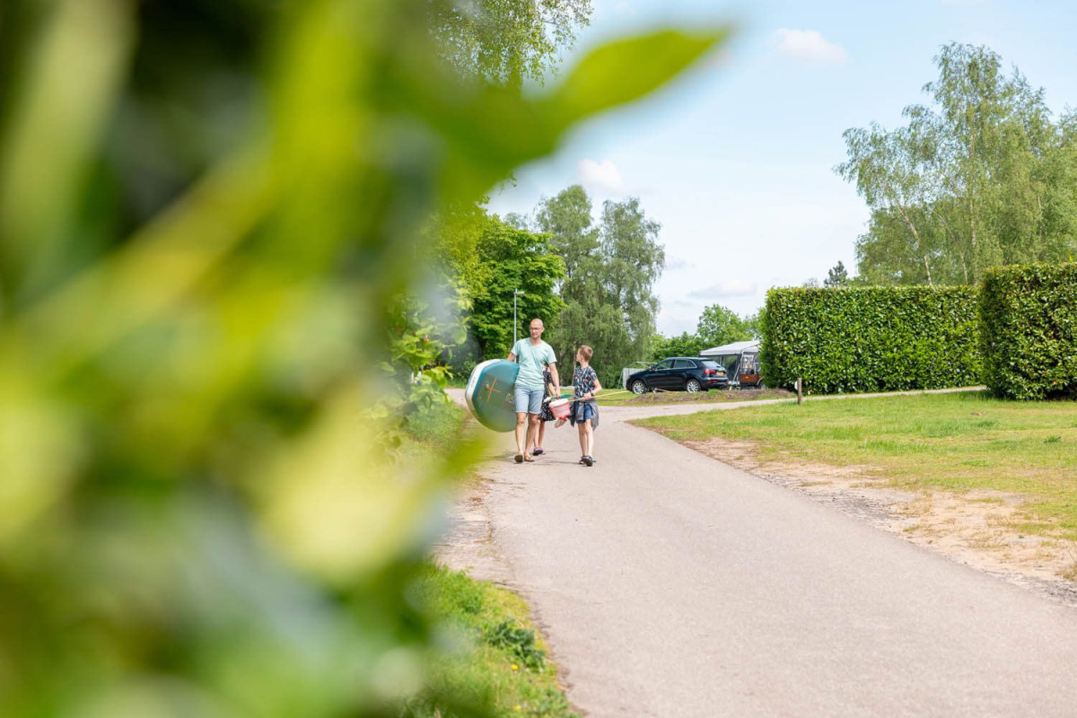 Chalet in Wilsum voor 6 personen foto 17