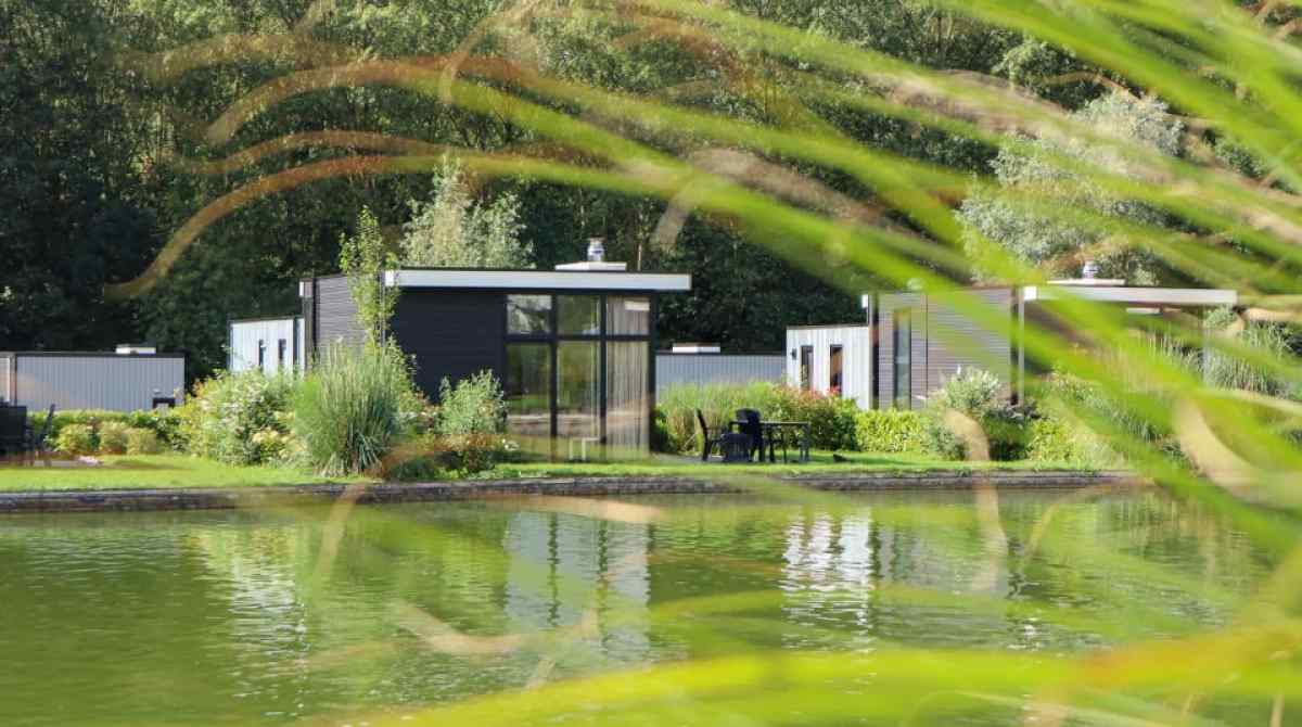 Chalet in Halfweg voor 6 personen foto 5