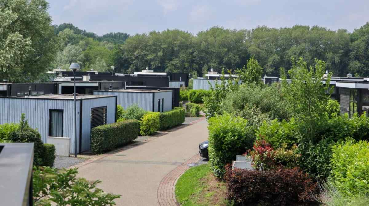Chalet in Halfweg voor 6 personen foto 6