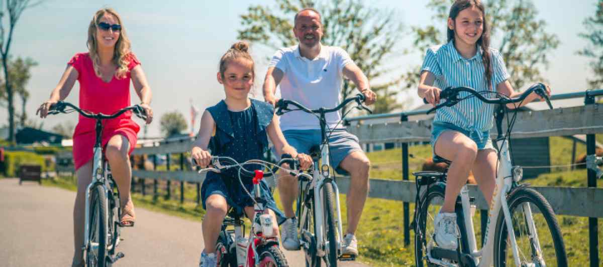 Chalet in Halfweg voor 6 personen foto 17
