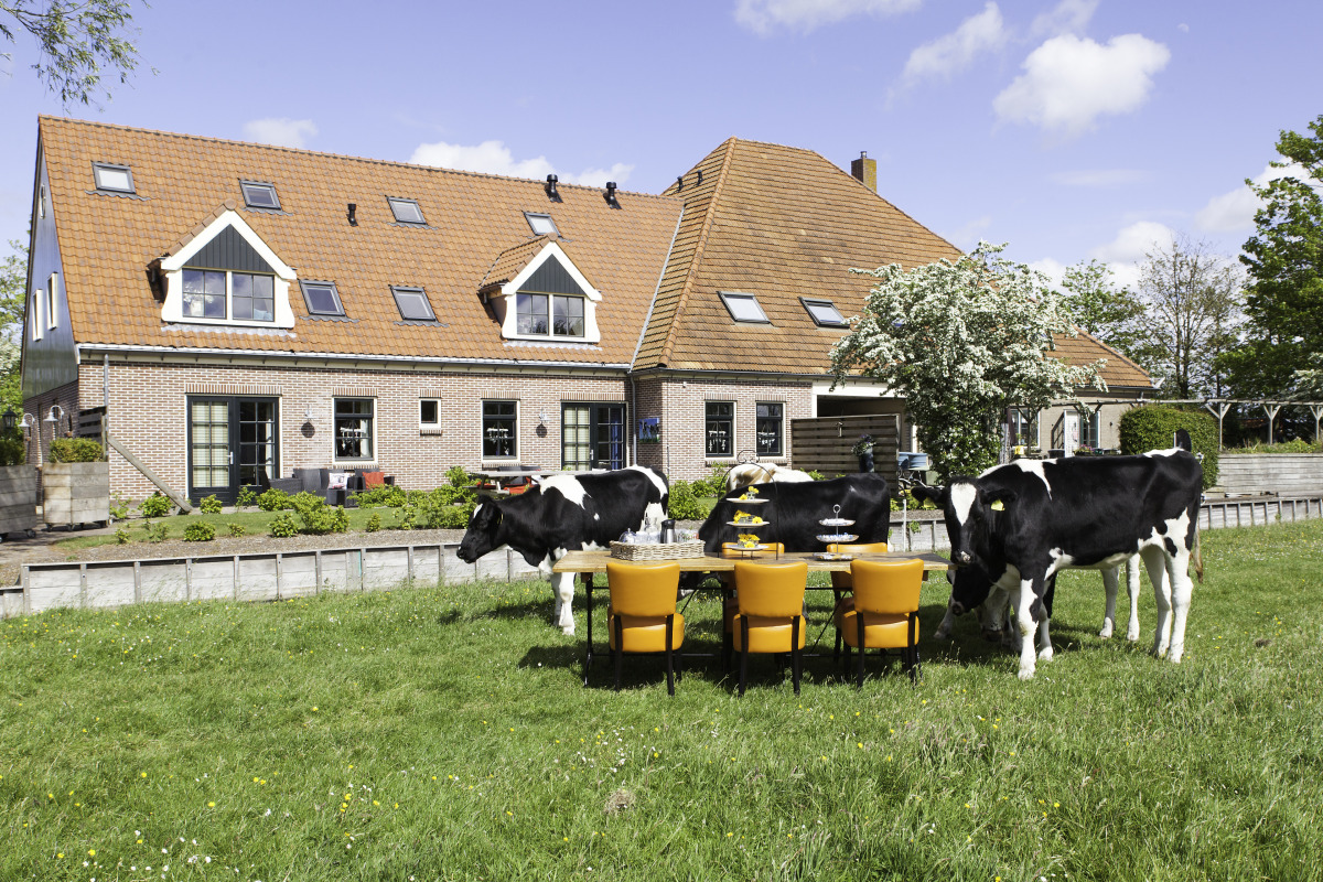 Appartement in Oudesluis voor 8 personen foto 2