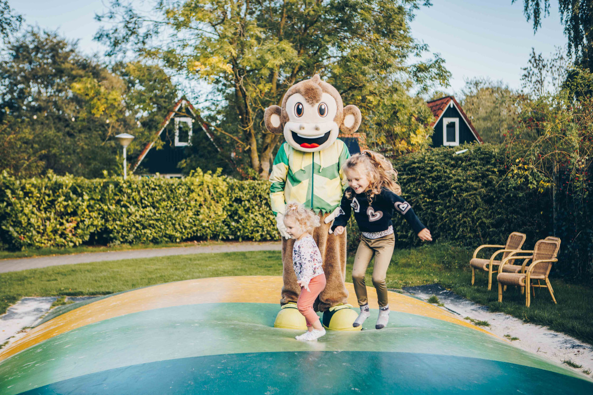 Bungalow in Gramsbergen voor 6 personen foto 11